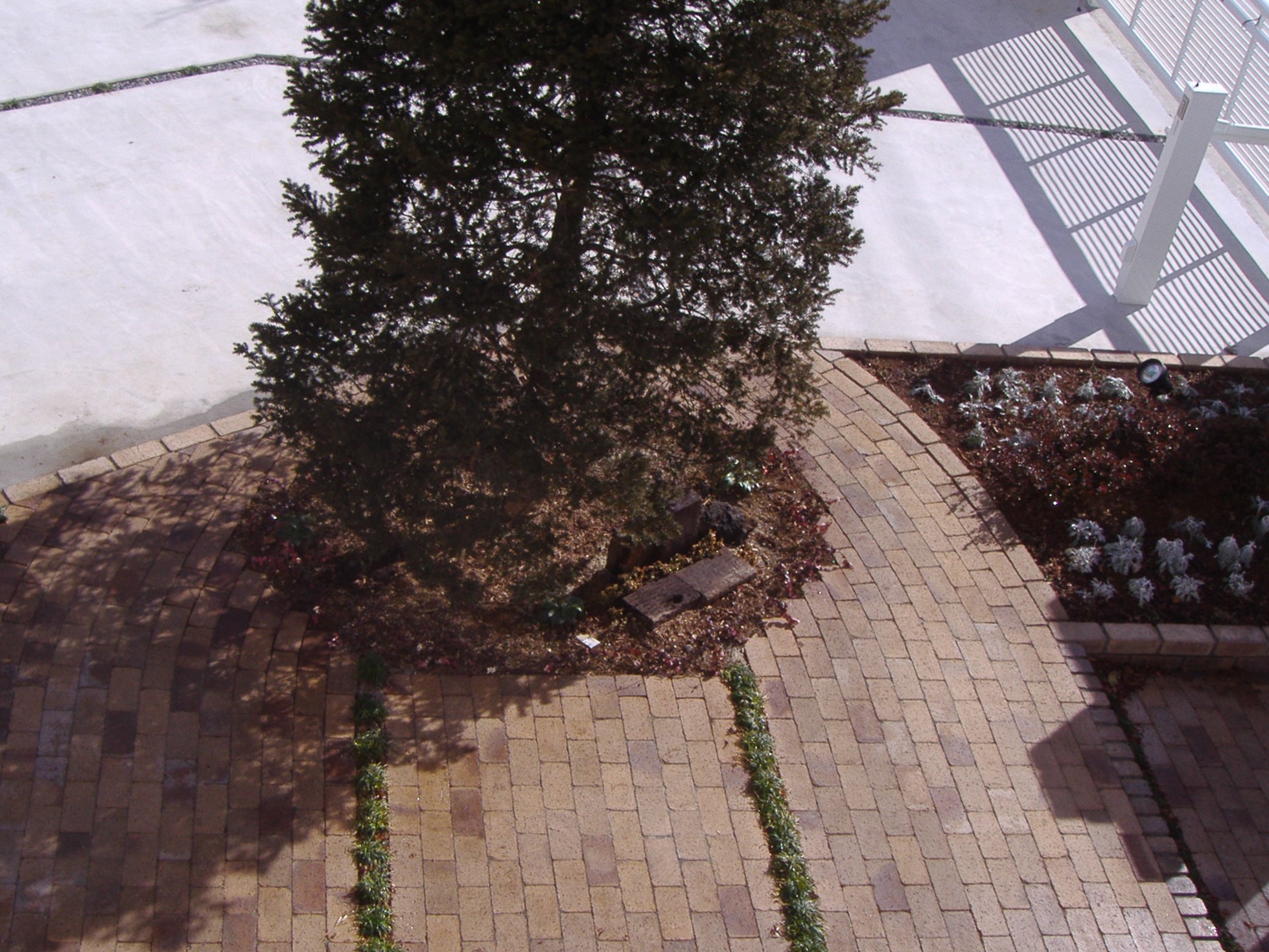 DIY・ガーデニング活用術